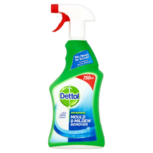 Dettol Mould & Mildew 6x750ml