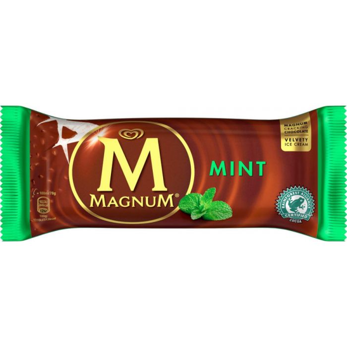 Wall Magnum Mint 20x100ml