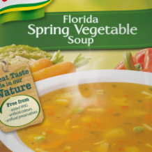 Knorr Soup Florida Vegetable 9x48g