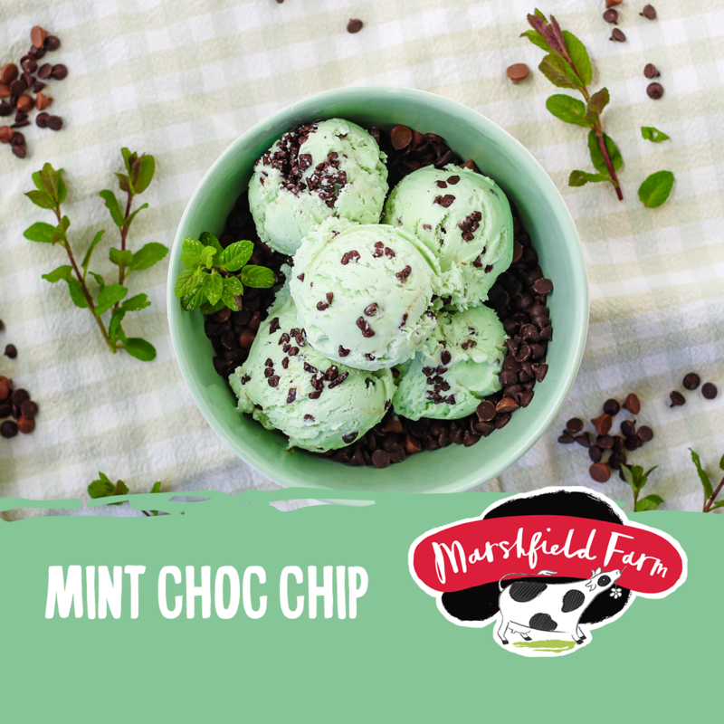 4lt Marshfield Mint Choc Chip 1x4lt . Packed 6 units to a case.
Unit Weight: 1.63 Kilos.