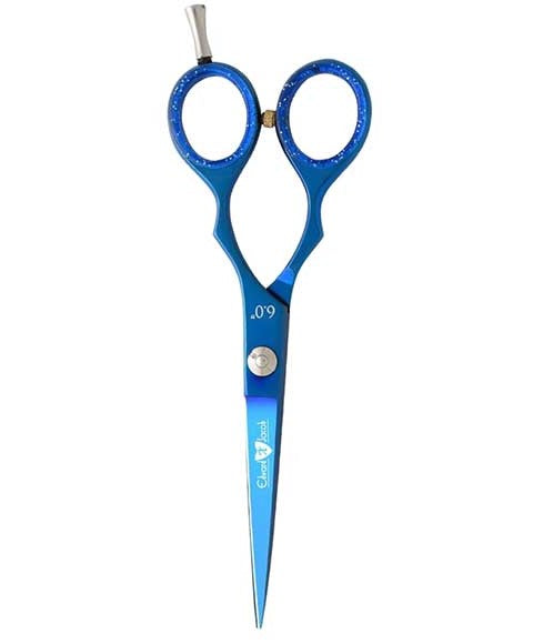 EDWARD X JACOB PROFESSIONAL SCISSORS EXJ064201G Salon Accessories Asetena Pa