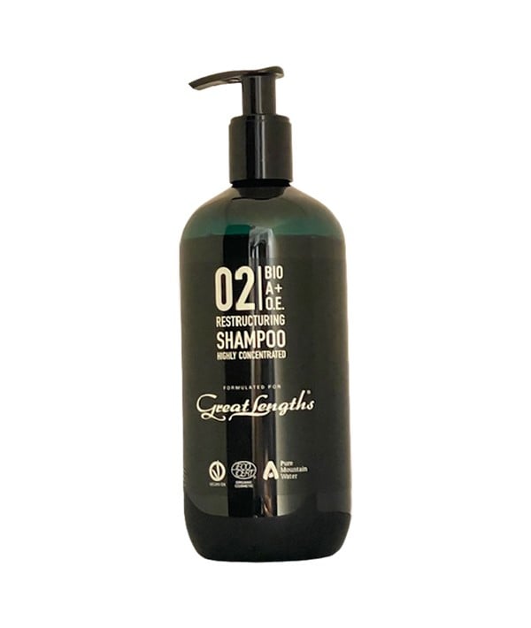 BIO AOE 02 RESTRUCTURING SHAMPOO 500 ml Shampoo Asetena Pa