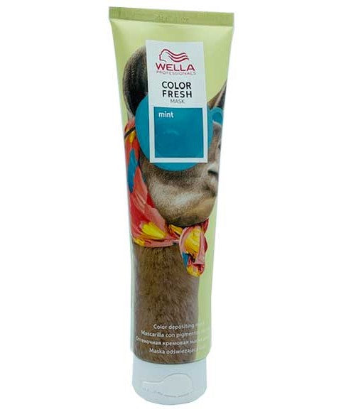 COLOR FRESH DEPOSITING MASK MINT 150 ml Hair Color Asetena Pa
