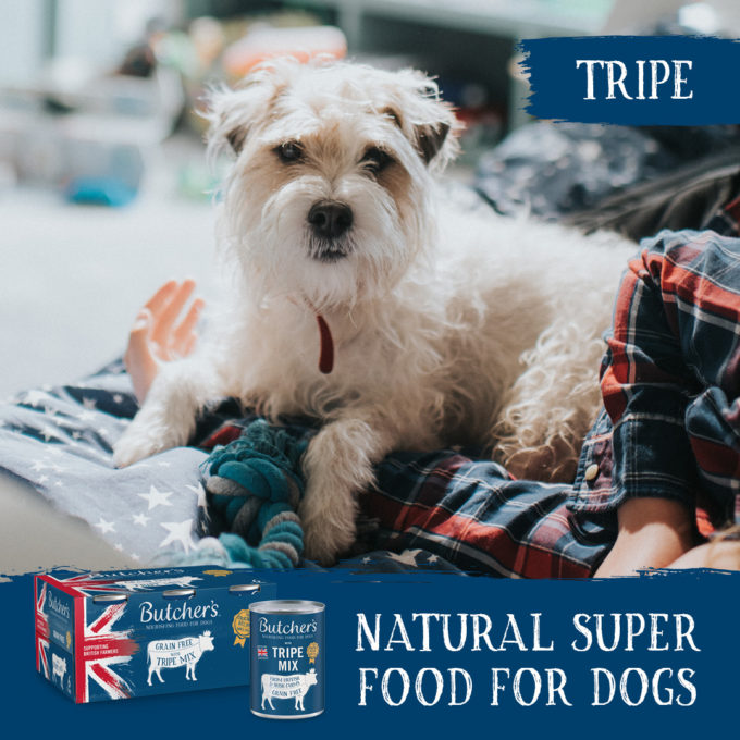 Butcher's Dog Food Tripe Mix 6x1200g