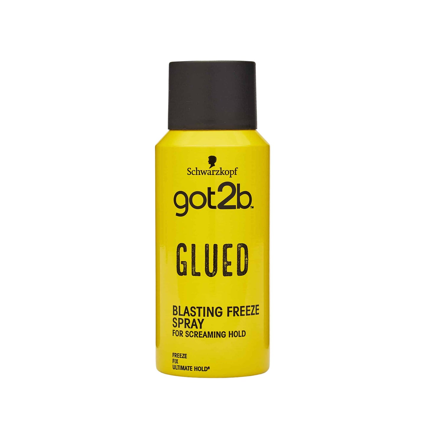 MASGOT2B Blasting Freeze Spray 100ml-Food