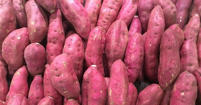 African Sweet Potato 1kg-Food