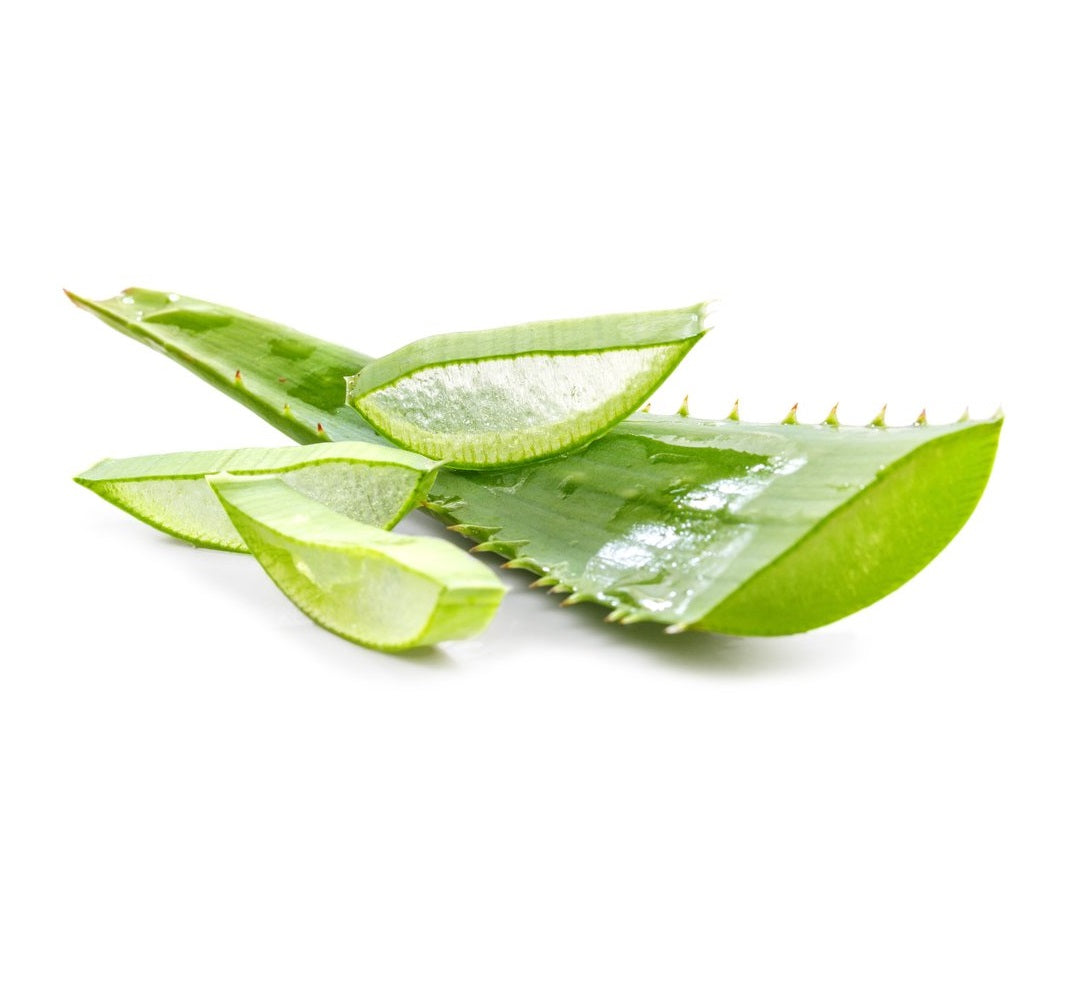 Aloe Vera Leaf FRESH PRODUCE Asetena Pa