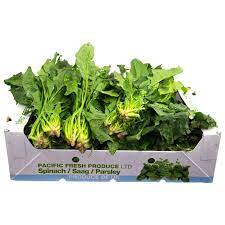 MASFresh Spinach Box (20 Bunches)-Fd