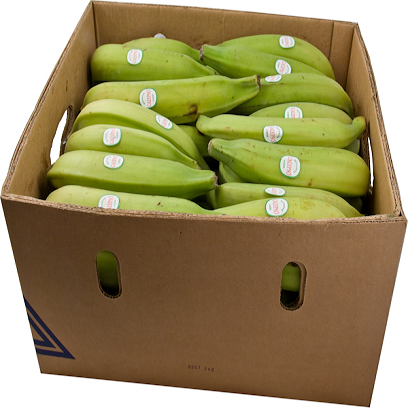 Green Plantain Half Box