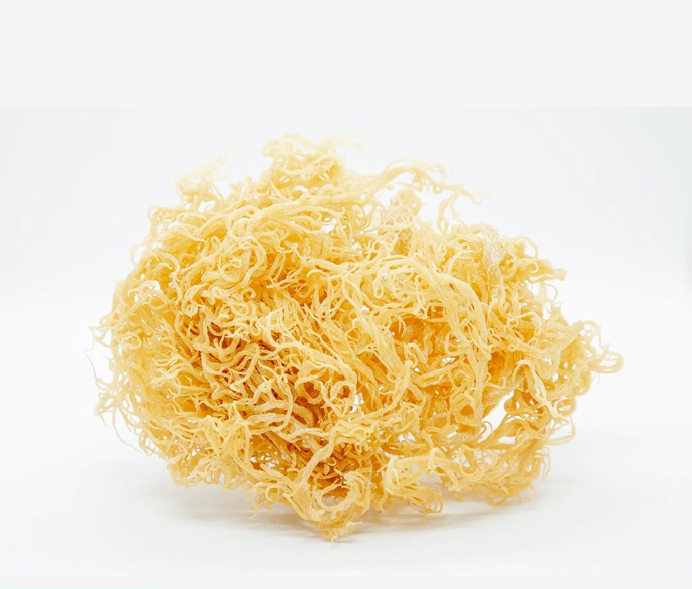 SKSt Lucian Sea Moss Gold Organic and Wildcrafted 1kg