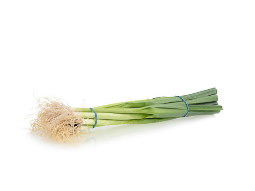 MASBaby Leek-Fd