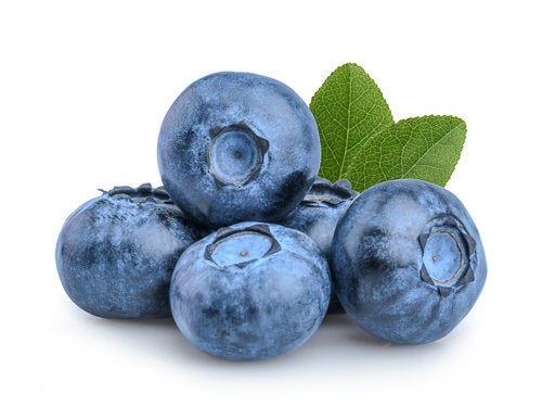 MASBlueberries-Fd