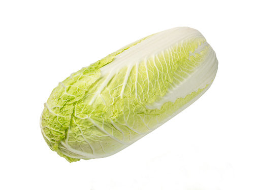 MASChinese Leaf-Fd