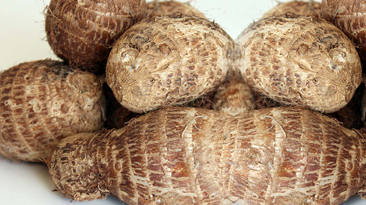 Cocoyam 1KG Cocoyam Asetena Pa