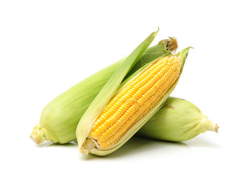 MASCorn On The Cob-Fd