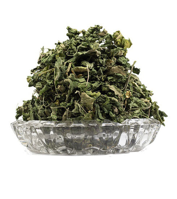 Dog blood Herbal Bush
