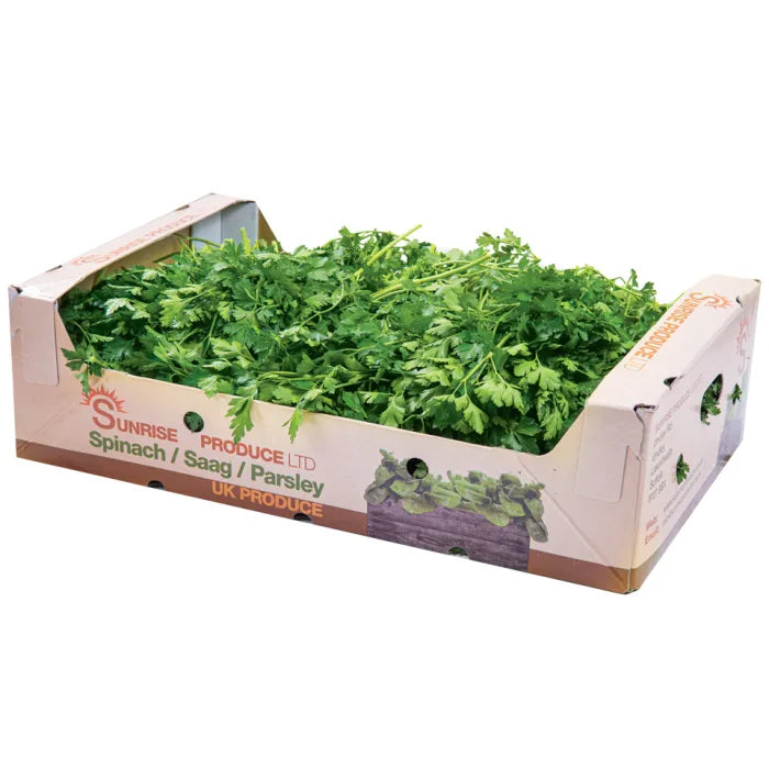 MASFresh Flat Leaf Parsley-1x20 Bunches-Food