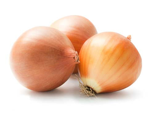 MASEnglish Onions-Fd