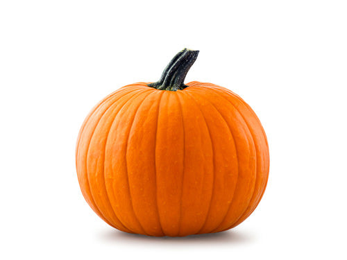 MASEnglish Pumpkin-Fd