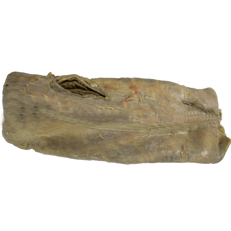 MASFresh Beef Reed (per Kg)-Fd