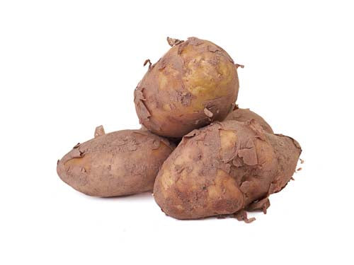 MASJersey Mids Potatoes-Fd