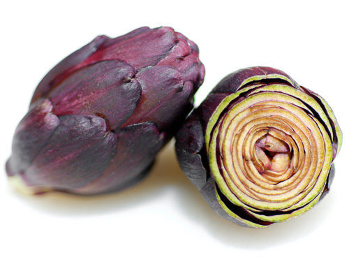 MASPurple Baby Artichoke-Fd