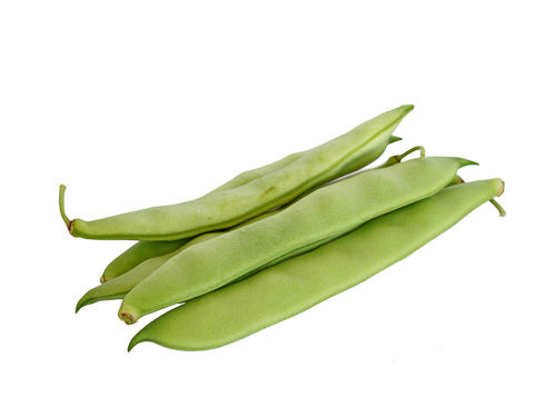 MASRunner Beans-Fd