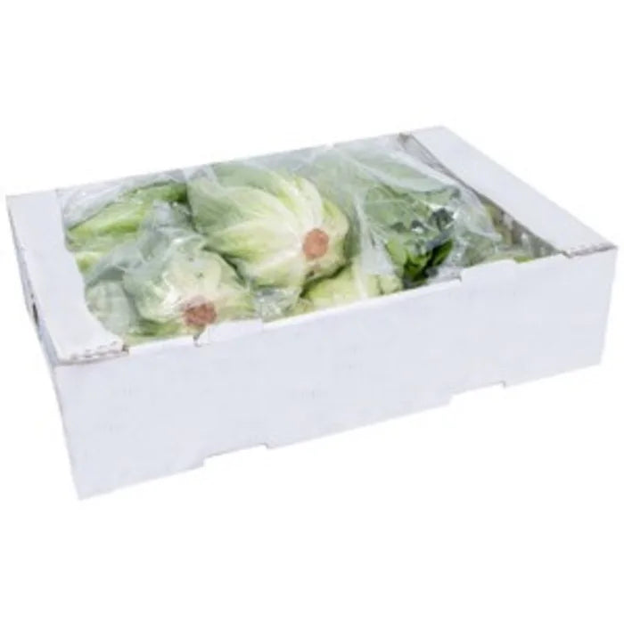MASCos (Romaine) Lettuce-1x(10-12)-Food