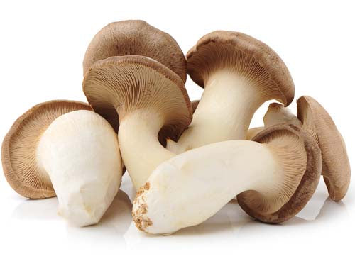 MASTrompette Mushrooms-Fd