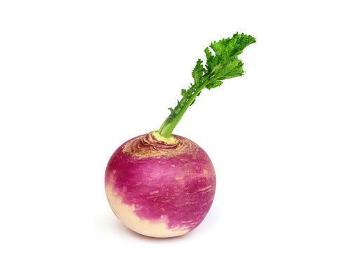 Turnips-Fd