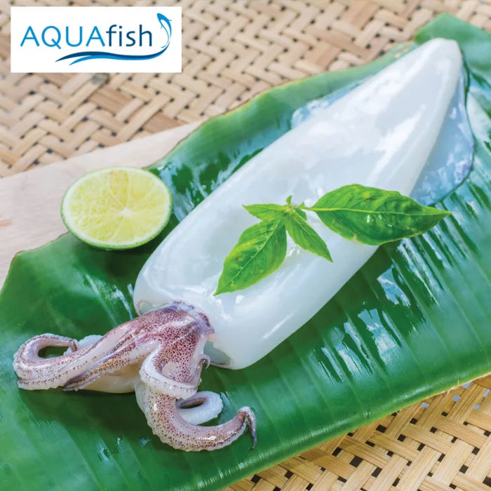 Aquafish Cleaned Squid with Tentacles (10/20) -1kg Raw Prawns Asetena Pa