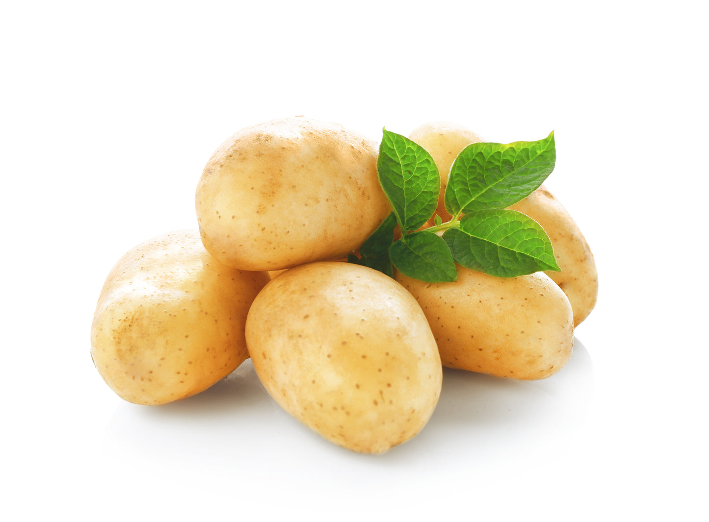 Washed Mid Potatoes