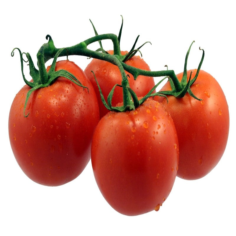 Fresh Vine Tomatoes Sales Asetena Pa