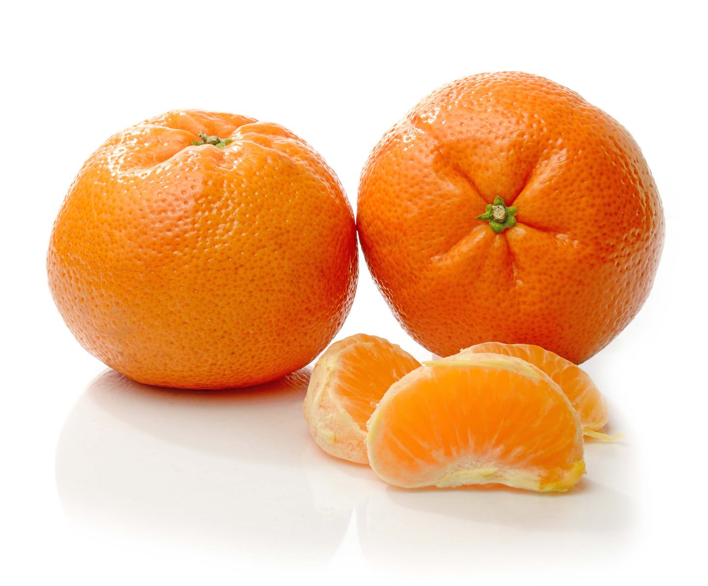 MASQueen Satsuma-Fd