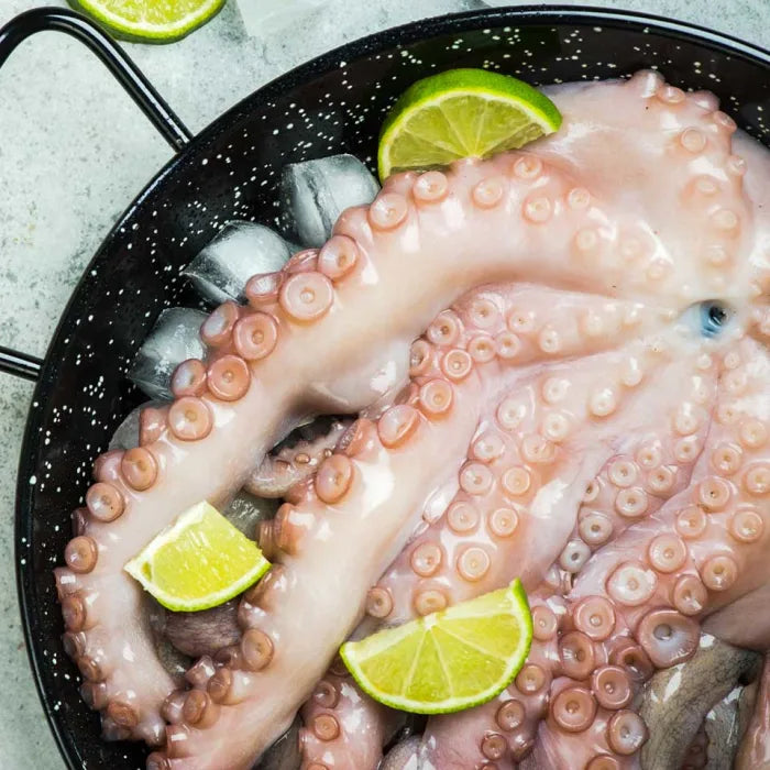 MASPortuguese IQF Octopus Clean Whole (size 3-4kg)- 1x14kg-Food