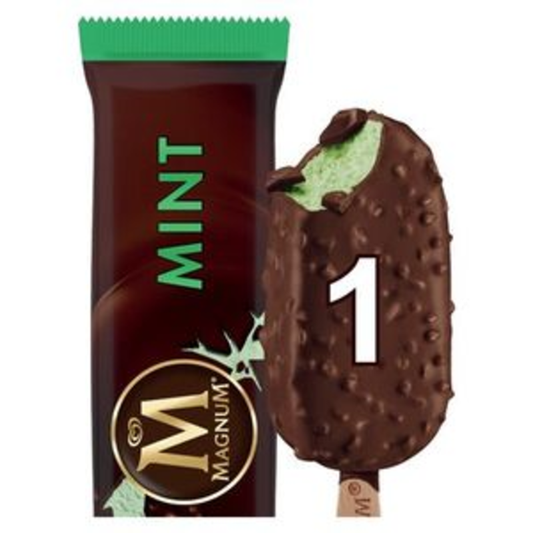 Magnum Mint 20x100ml Mixed Frozen foods Asetena Pa 