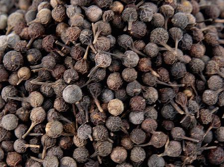 B Janko Esoro Wisa 50g Box of 10