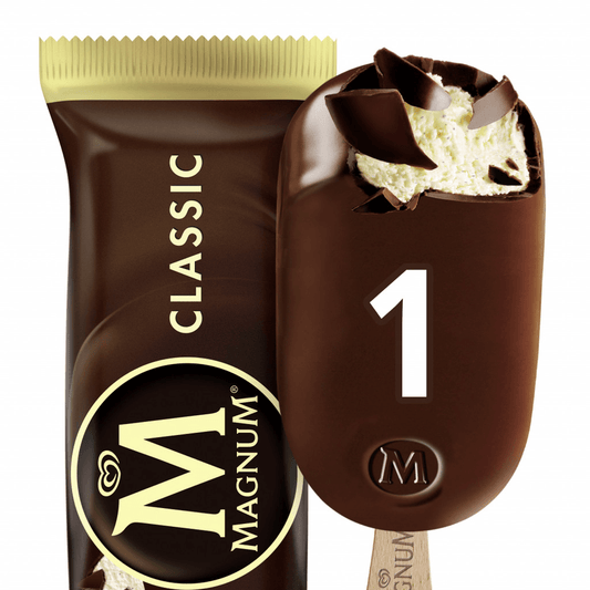 Magnum Classic 20x110ml