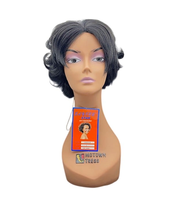 ELYSEE STAR SYNTHETIC CANDIS B WIG  Color 2 Synthetic Hair Wigs Asetena Pa 