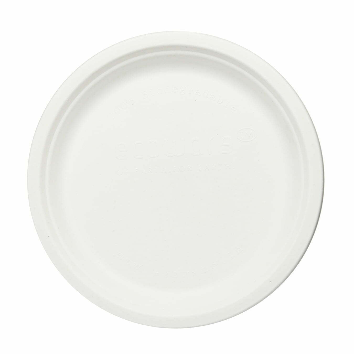 Plain Clasic Bio Plate   1x25