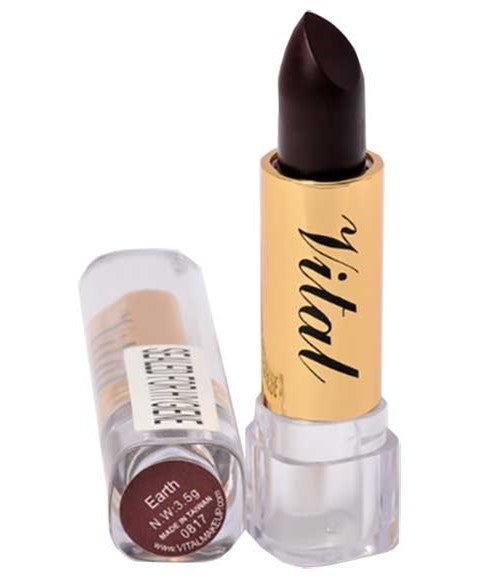 MOISTURIZING LIPSTICK EARTH 3.5 g Lips Asetena Pa 