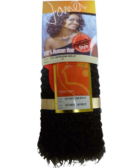 JANET HH TANTALIZING WVG 10 Color 2 Human Hair Bundles Asetena Pa 
