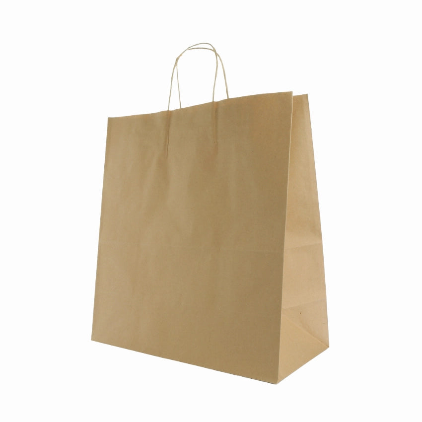 Paper Bags Large 's  1x10's