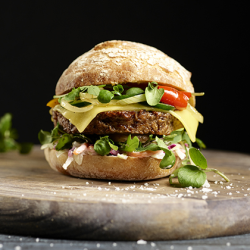 Katerveg Vegan Quarter Pounder 24 x 113g Ready Meal Bundles Asetena Pa KaterVeg Vegan Quarter Pounder Burger 24x113g Plant-Based Meal
