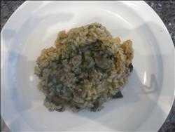KK Fine Foods Mushroom & Dolcelatte® Risotto 12 x 340g Ready Meal Bundles Asetena Pa What's Cooking Mushroom & Dolcelatte Risotto Meal 12x340g UK