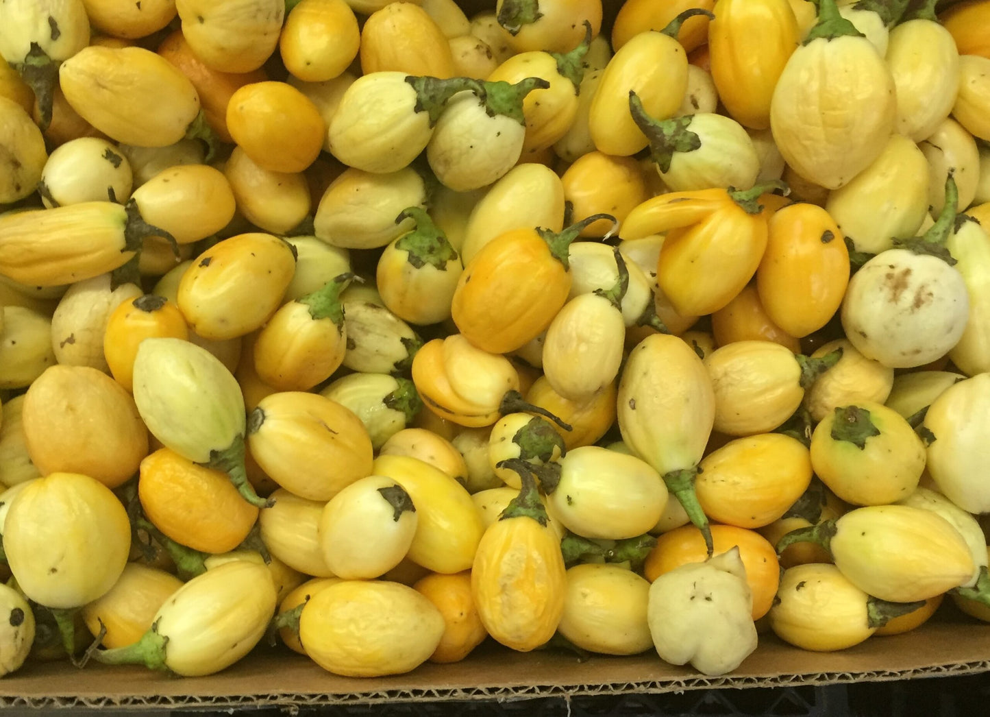Fresh Garden Eggs Box