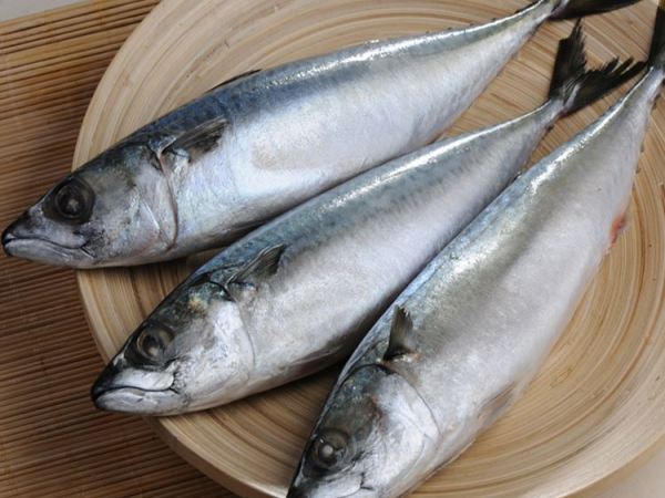 MASHorse Mackerel Kpala 20kg-Mas
