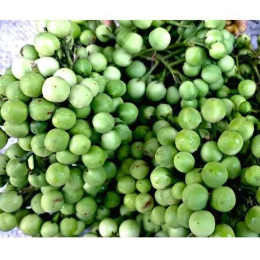 Turkey Berry / Kwahu Nsusaa 250g