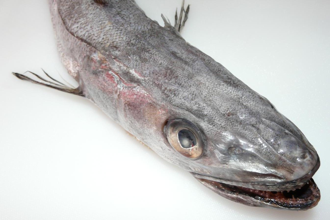 Merlluza 1kg