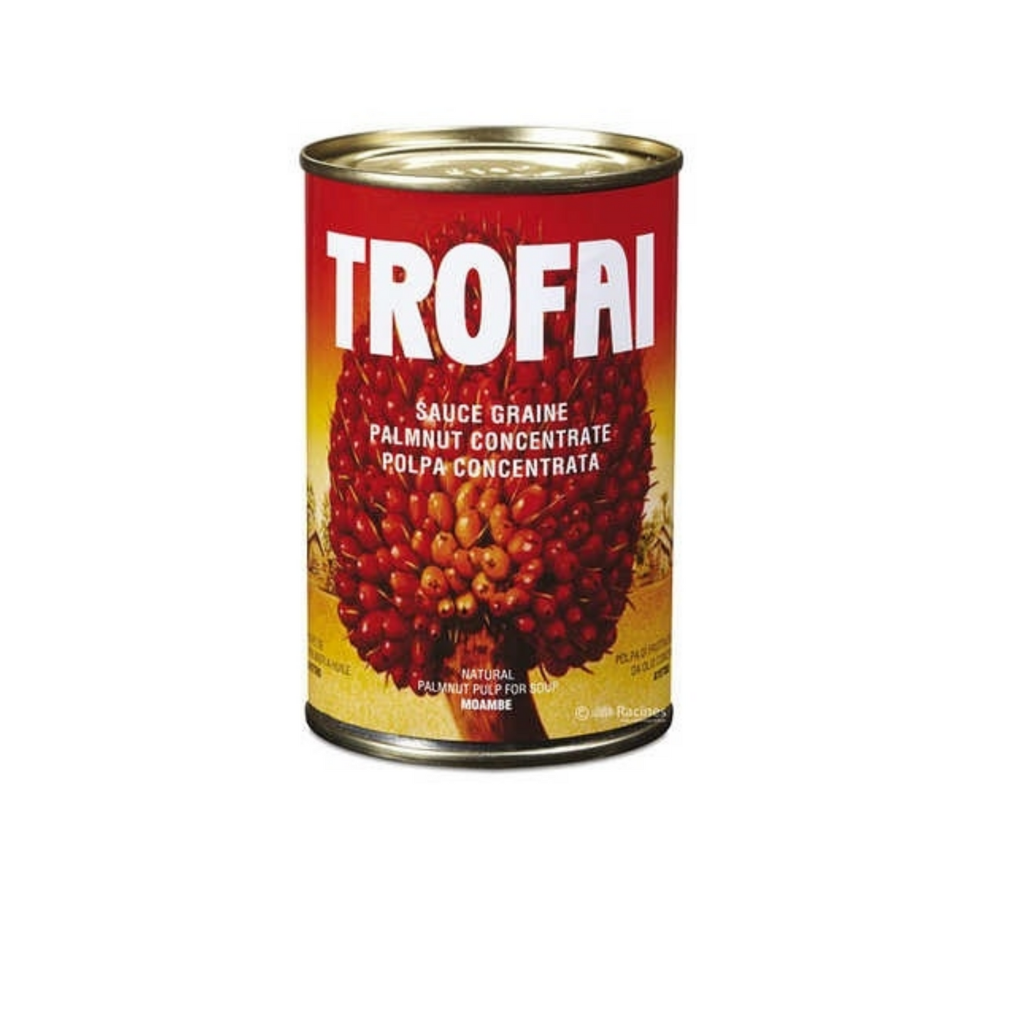 MASTrofai Palm Nut Concentrate 400g Box of 12-Fd